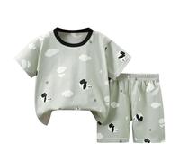 duxyoz Baby Boy'S 2-Piece Set Kids Toddler Summer Short Outfits Comfy Cotton Clothes Set Short Sleeve T Shirts Tops & Shorts Casual Loungewear Sets Cute Fashion Printed 2pcs Outfit 4-5 Years