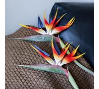 DUYONE Artificial Flowers Bird of Paradise 37'' Large Latex Fake Greenery Plants Long Stem Red Plants 2Pcs for Home,Living Room,Bedroom,Dining Table(Red 2pcs)