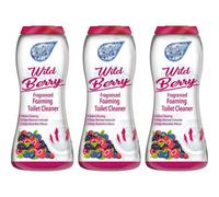 Duzzit Foam Fresh Foaming Toilet Cleaner Wild Berry 370G X 3