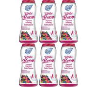 Duzzit Foam Fresh Foaming Toilet Cleaner Wild Berry 370G X 6
