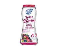 Duzzit Foam Fresh Toilet Cleaner Powder | Fragranced Foaming Toilet Cleaner | Active Cleaning, Helps Remove Limescale, Helps Neutralise Odours (370g, Wild Berry)