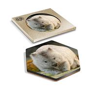 DV DESIGN 1 x Eco Boxed Cork Hexagon Coaster - Cute Wombat Australia Animal Drink Cup Mug Glass Table Protection Mat #2295
