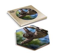 DV DESIGN 1 x Eco Boxed Cork Hexagon Coaster - Sloth Chilling Lazy Kids Teenager Drink Cup Mug Glass Table Protection Mat #15865