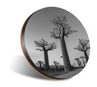 DV DESIGN 1 x Eco Round 12cm Coaster - BW - African Baobab Trees Africa Tree Drink Cup Mug Glass Table Protection Mat #42539