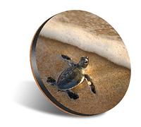 DV DESIGN 1 x Eco Round 12cm Coaster - Cute Baby Sea Turtle Turtles Drink Cup Mug Glass Table Protection Mat #3069