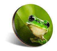 DV DESIGN 1 x Eco Round 12cm Coaster - Green Tree Frog Jungle Tropical Drink Cup Mug Glass Table Protection Mat #8229