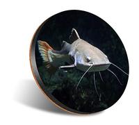 DV DESIGN 1 x Eco Round 12cm Coaster - Redtail Catfish Drink Cup Mug Glass Table Protection Mat #12662