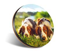 DV DESIGN 1 x Eco Round 12cm Coaster - Welsh Springer Spaniel Dog Puppy Drink Cup Mug Glass Table Protection Mat #16840