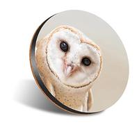 DV DESIGN 1 x Eco Round 12cm Coaster - Wise Barn Owl Tyto Albahead Drink Cup Mug Glass Table Protection Mat #15817