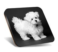 DV DESIGN 1 x Eco Square 12cm Coaster - BW - Maltese Puppy White Dog Pet Drink Cup Mug Glass Table Protection Mat #43175