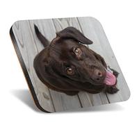 DV DESIGN 1 x Eco Square 12cm Coaster - Chocolate Labrador Dog Puppy Drink Cup Mug Glass Table Protection Mat #14281