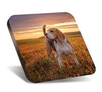 DV DESIGN 1 x Eco Square 12cm Coaster - Gorgeous Sunset Beagle Dog Drink Cup Mug Glass Table Protection Mat #3086