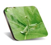 DV DESIGN 1 x Eco Square 12cm Coaster - Praying Mantis Insect Nature Bug Drink Cup Mug Glass Table Protection Mat #46187