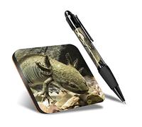 DV DESIGN 1 x Eco Square Coaster & 1 Pen Set - Axolotl Salamander Lizard Mexican Drink Cup Mug Glass Table Protection Mat #16605