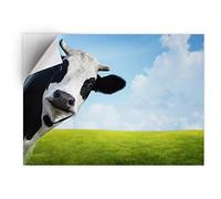 DV DESIGN 1 x Vinyl Sticker A5 - Rectangle Shape 15,8x21cm - Black White Cattle Cow Farm Farmer Art Print Decal Laptop Tablet Luggage Car Bike Wall Fridge Door Sticker #8273