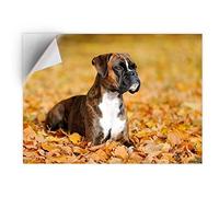 DV DESIGN 1 x Vinyl Sticker A5 - Rectangle Shape 15,8x21cm - Boxer Puppy Autumn Leaves Dog Art Print Decal Laptop Tablet Luggage Car Bike Wall Fridge Door Sticker #16251