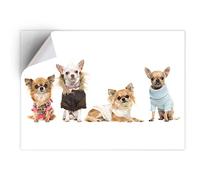 DV DESIGN 1 x Vinyl Sticker A5 - Rectangle Shape 15,8x21cm - Chihuahua Dog Puppy Group Art Print Decal Laptop Tablet Luggage Car Bike Wall Fridge Door Sticker #8131-2