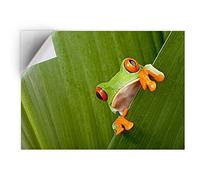 DV DESIGN 1 x Vinyl Sticker A5 - Rectangle Shape 15,8x21cm - Green Frog Nature Frogs Art Print Decal Laptop Tablet Luggage Car Bike Wall Fridge Door Sticker #3682