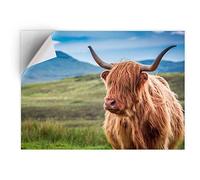 DV DESIGN 1 x Vinyl Sticker A5 - Rectangle Shape 15,8x21cm - Hairy Highland Cow Scotland Horns Art Print Decal Laptop Tablet Luggage Car Bike Wall Fridge Door Sticker #15762