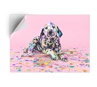 DV DESIGN 1 x Vinyl Sticker A5 - Rectangle Shape 15,8x21cm - Naughty Dalmatian Puppy Dog Art Print Decal Laptop Tablet Luggage Car Bike Wall Fridge Door Sticker #15609