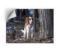 DV DESIGN 1 x Vinyl Sticker A5 - Rectangle Shape 15,8x21cm - Welsh Springer Spaniel Dog Puppy Art Print Decal Laptop Tablet Luggage Car Bike Wall Fridge Door Sticker #16839