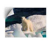 DV DESIGN 1 x Vinyl Sticker A5 - Rectangle Shape 15,8x21cm - Wild Polar Bear Arctic Ice Animal Snow Art Print Decal Laptop Tablet Luggage Car Bike Wall Fridge Door Sticker #46439