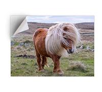 DV DESIGN 1 x Vinyl Sticker A5 - Rectangle Shape 15,8x21cm - Windswept Shetland Pony Horse Art Print Decal Laptop Tablet Luggage Car Bike Wall Fridge Door Sticker #15993