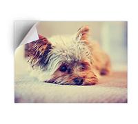 DV DESIGN 1 x Vinyl Sticker A5 - Rectangle Shape 15,8x21cm - Yorkshire Terrier Puppy Dog Art Print Decal Laptop Tablet Luggage Car Bike Wall Fridge Door Sticker #15621