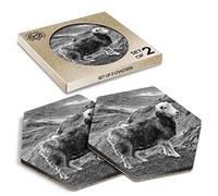 DV DESIGN 2 x Eco Boxed Cork Hexagon Coasters - BW - Herdwick Sheep Mountain Drink Cup Mug Glass Table Protection Mat #35321