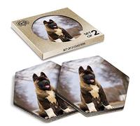 DV DESIGN 2 x Eco Boxed Cork Hexagon Coasters - Large American Akita Puppy Dog Drink Cup Mug Glass Table Protection Mat #15711