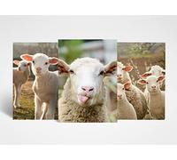 DV DESIGN 3 x A4 Sheep Posters - Lamb Farm Art Animals Farmer Trio of Prints Portrait Poster Gift