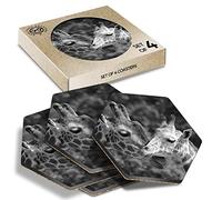 DV DESIGN 4 x Eco Boxed Cork Hexagon Coasters Set - BW - Mother Baby Giraffe Animals Drink Cup Mug Glass Table Protection Mat #36504