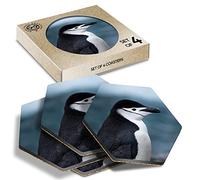 DV DESIGN 4 x Eco Boxed Cork Hexagon Coasters Set - Chinstrap Penguin Antarctica Bird Wildlife Drink Cup Mug Glass Table Protection Mat #44588