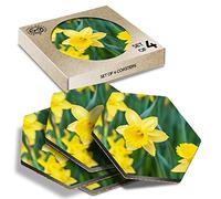 DV DESIGN 4 x Eco Boxed Cork Hexagon Coasters Set - Daffodil Flower Field Easter Drink Cup Mug Glass Table Protection Mat #14350