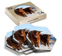 DV DESIGN 4 x Eco Boxed Cork Hexagon Coasters Set - Highland Cow Pair Scotland UK Drink Cup Mug Glass Table Protection Mat #45331