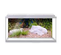 DV DESIGN Aquarium Fish Tank Background 123x54 cm - Green Beautiful Plant Tropical Freshwater Ocean Sea Marine Landscape Static Cling Vinyl Vivarium Terrarium External Application #500052