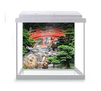 DV DESIGN Aquarium Fish Tank Background 52x47 cm - Bonsai Tree Decoration Japanese Red Bridge Nan Lian Garden Hong Kong World Land Static Cling Vinyl Vivarium Terrarium External Application #500193
