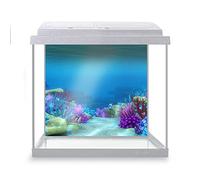 DV DESIGN Aquarium Fish Tank Background 52x47 cm - Colorful Coral Reef Ocean Underwater World Sea Marine Aquatic Static Cling Vinyl Vivarium Terrarium External Application #500023