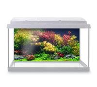 DV DESIGN Aquarium Fish Tank Background 60x30 cm - Colorful Aquatic Plants Tank Marine Landscape Underwater World Static Cling Vinyl Vivarium Terrarium External Application #500032