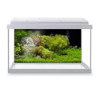 DV DESIGN Aquarium Fish Tank Background 60x30 cm - Green Beautiful Plants Tropical Freshwater Aqua Ocean Sea Aquatic Static Cling Vinyl Vivarium Terrarium External Application #500041