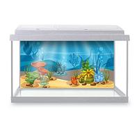 DV DESIGN Aquarium Fish Tank Background 62x32 cm - Underwater World Beauty Marine Life Algae Coral Reefs Blue Beautiful Cartoon Static Cling Vinyl Vivarium Terrarium External Application #500048