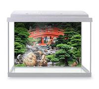 DV DESIGN Aquarium Fish Tank Background 62x42 cm - Bonsai Tree Decoration Japanese Red Bridge Nan Lian Garden Hong Kong World Land Static Cling Vinyl Vivarium Terrarium External Application #500193