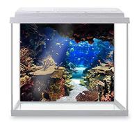 DV DESIGN Aquarium Fish Tank Background 62x52 cm - Aquarium Plants Tropical Colorful Fishes Coral Reef Underwater Deep Sea Animal Static Cling Vinyl Vivarium Terrarium External Application #500003