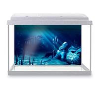 DV DESIGN Aquarium Fish Tank Background 77x47 cm - Atlantis Underwater City Poseidon Water Neptune Statue Ancient Static Cling Vinyl Vivarium Terrarium External Application #500024