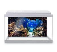 DV DESIGN Aquarium Fish Tank Background 80x40 cm - Aquarium Plants Tropical Colorful Fishes Coral Reef Underwater Deep Sea Animal Static Cling Vinyl Vivarium Terrarium External Application #500003