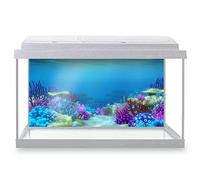 DV Design Aquarium Fish Tank Background 90x45 cm - Colorful Coral Reef Ocean Underwater World Sea Marine Aquatic Static Cling Vinyl Vivarium Terrarium External Application #500023