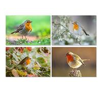 DV DESIGN Set of 4 Prints - 6 x 4 - Robin Redbreast Bird Animal Poster Photo 15x10cm Gift