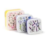 DV Lunch Box Set, 3 Containers, 3 Pack, Animal Print (Nectar Meadows)