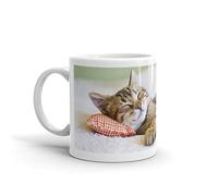 DV Mugs Ltd Cute Sleeping Kitten Mug - Funny Mum Sister Niece Nan Cat Cats Lover #8265 (Mug)