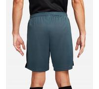 DV9742-328 Nike Shorts Men's Green Short Pants Sport Leisure Cotton Comfortable